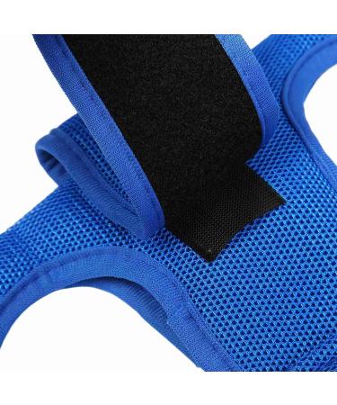 Pet Grooming Hammock Dog Grooming Sling Adjustable Safe Sturdy for Cats (S) - Buy Online on GoSupps.com