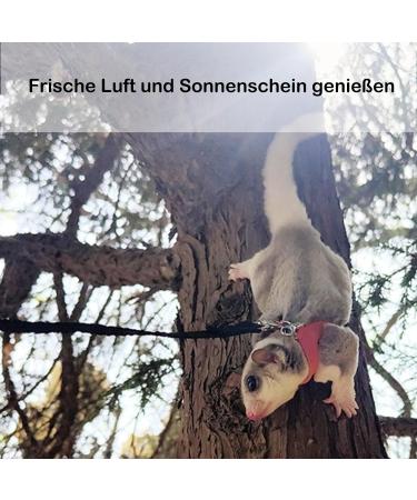 3 Pack Sugar Glider Harness and Lead Set Small Animal Training Walking Vest for Squirrel Hamster Rat (Brown) - Buy Online on GoSupps.com