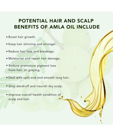 Amla Hair Oil - Natural Indian Hair Care for Healthy & Moisturized Scalp - Buy Online on GoSupps.com