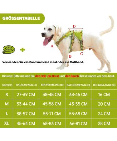 BELPRO Multi-Purpose Dog Harness - Escape Proof No Pull Reflective Adjustable Vest for Large Active Dogs - Durable Handle - Green S (1 Pack) - Buy Online on GoSupps.com