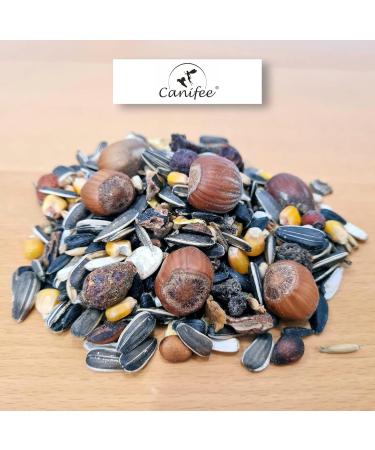 Canifee Squirrel Food 1kg - Species-Appropriate Wildlife Feed Mix with Hazelnuts - Year-Round Nutrition for All Squirrels - Premium Quality - Buy Online on GoSupps.com
