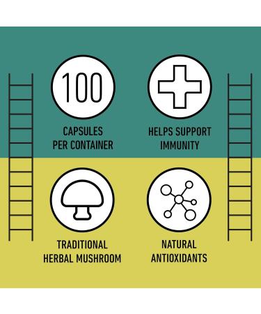 Complete Natural Products Organic Chaga Mushroom Capsules - 100ct Organic Antioxidant Power Immune Boost Gut Support Non-GMO Gluten Free Vegan - Buy Online on GoSupps.com