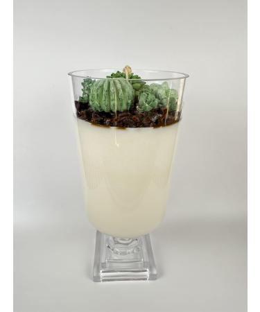 Succulent Garden Candle centerpiece Green 646522