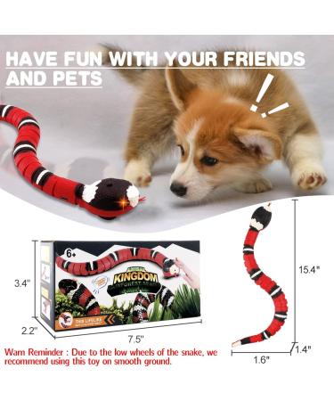 Interactive Squeaky Cat Toy | Electric Infrared Induction Snake Gag | USB Rechargeable Pet Toy | Realistic Simulation RC Snake - Buy Online on GoSupps.com
