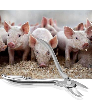 Ipper Nippers Guinea Pig Trimmer & Stainless Steel Teeth Clipper for Rodents - Wolf Vet Approved - Buy Online on GoSupps.com