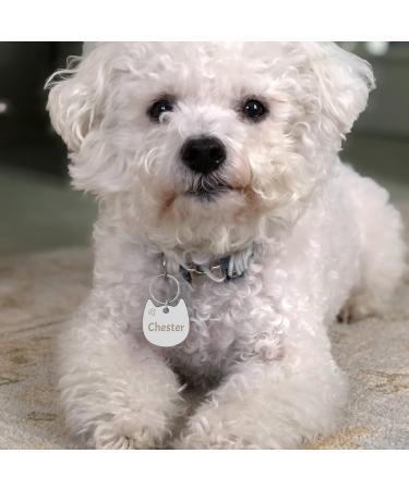 Personalized Stainless Steel Dog Tags & Cat Tags | Custom Engraved Pet ID Badges in Various Shapes - Buy Online on GoSupps.com