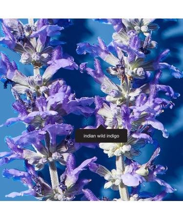 Fieldtrip Into the Blue Stress Less Moisturizer | Indian Wild Indigo | 2 fl oz | International Shipping Available - Buy Online on GoSupps.com