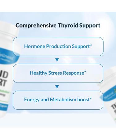 Natural Wellness Thyroid Support Iodine Selenium & L-Tyrosine Supplement for Healthy Thyroid Function Energy and Metabolism Thyroid Support for Women & Men 60 Vegetarian Capsules - Buy Online on GoSupps.com