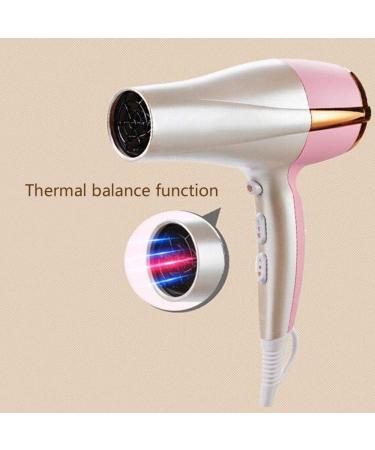 2200W Professional Salon Hair Dryer with Nozzle Powerful DC Motor 3 Heat and 2 Speed Cool Shot Setting Ionic Conditioning to Protect Hair and Increase Shine Fast Drying for Home and Salon Green Small - Buy Online on GoSupps.com