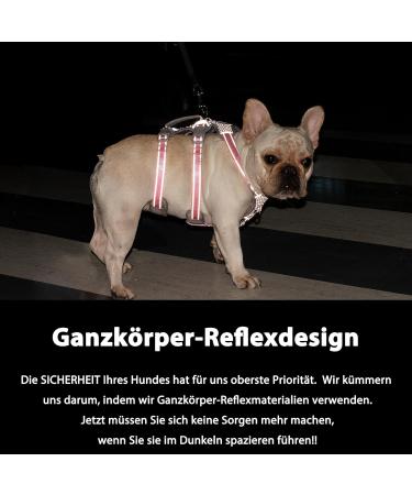 Huntboo Safety Harness for Small Dogs - Reflective & Adjustable Vest with Padded Handle - Break-Out & Panic Control - Orange (Pack of 1) - Buy Online on GoSupps.com