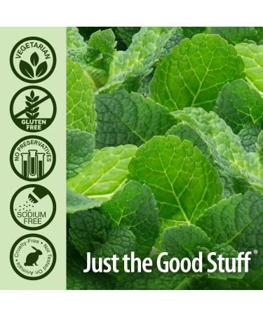 Nature's Answer Periobrite Wintermint All-Natural Mouthwash Promotes Healthy Teeth & Gums, Fights Bad Breath Flouride-Free 16oz (2 Pack) Wintermint 32 Fl Oz (Pack of 1) - Buy Online on GoSupps.com