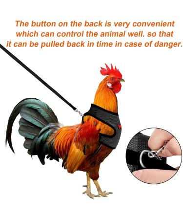 Molain Adjustable Chicken Harness with Leash | Breathable Chicken Vest for Ducks & Hens (2-11 lb) - Comfortable Training Mesh Dish - Buy Online on GoSupps.com