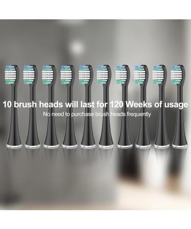 Replacement Toothbrush Heads 10 Pack for AquaSonic Black Series & Duo Series - Electric Toothbrush Compatible - Buy Online on GoSupps.com