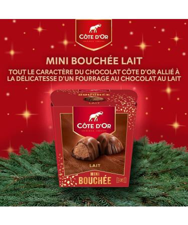C TE D'OR - Mini Bouch e Lait - Milk Chocolate Filled with Hazelnuts and Almonds - Christmas Chocolates - Box to Share or Give - Box of Approximately 21 Mini Bouch es - 1 Box of 197 g - Buy Online on GoSupps.com