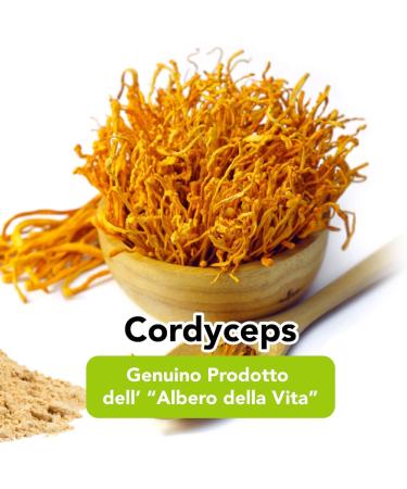Cordyceps Sinensis Organic Powder - 100 g. Cordyceps Militaris Raw. Rich in Fungus Properties and Benefits. - Buy Online on GoSupps.com