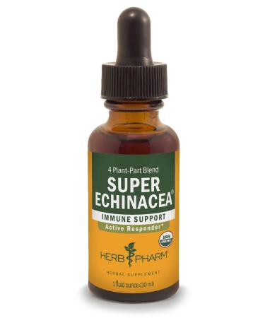 Herb Pharm Super Echinacea 1 fl oz (30 ml) - Buy Online on GoSupps.com