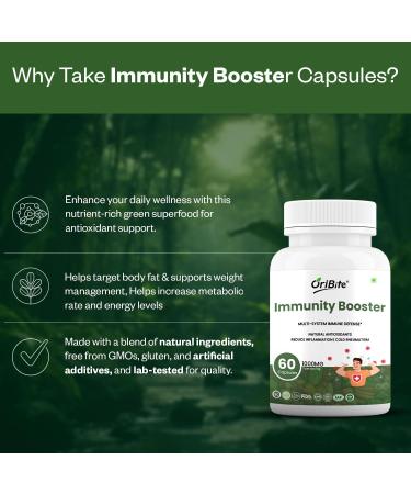 ORIBITE Immunity Booster Advanced Herbal Immune Support Supplement with Vitamin C Zinc Turmeric & Elderberry Natural Antioxidant & Energy Support for Men & Women 60 Capsules Non-GMO - Buy Online on GoSupps.com