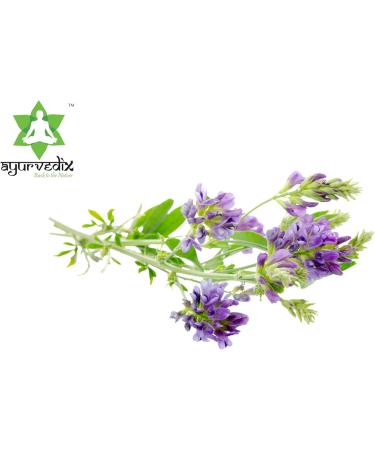 Organic Alfala Powder 150g (Pack of 3) 5.29 Ounce (Pack of 3) - Buy Online on GoSupps.com