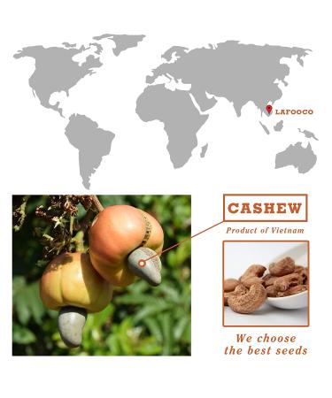 LAFOOCO Sea Salt Caramel Cashews 14.1 oz - Premium Roasted Cashews | Resealable Jar | Nutrient-Rich Protein Snack | Perfect Gift for Celebrations, Holidays, Birthdays - Buy Online on GoSupps.com
