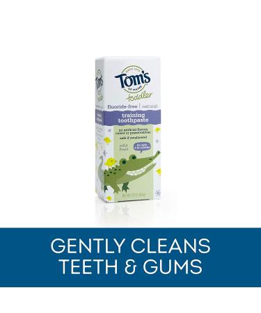Tom's of Maine Toddlers Fluoride-Free Natural Toothpaste in Mild Fruit Gel  1.75 Ounce (Pack of 6) - Buy Online on GoSupps.com