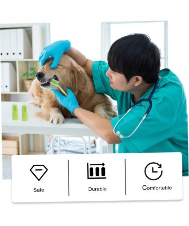 HAPINARY 1 Set Pet Toothbrush Pet Mouth Cleaning Tool Pet Dog Toothbrush Cat Toothpaste Tools Pets Pp - Buy Online on GoSupps.com
