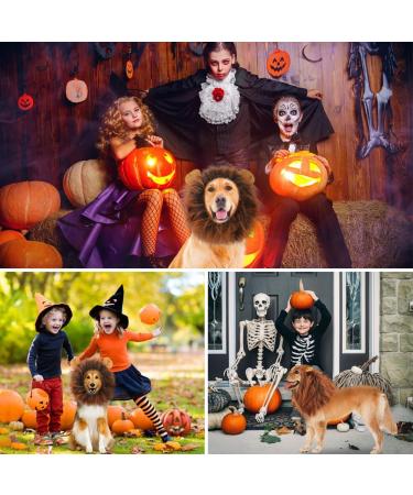 Adjustable Lion Mane Costume for Dogs with Ears - Dark Brown - Buy Online on GoSupps.com