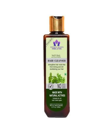 Blessfull Healing Organic Natural Hair Cleanser | Shampoo 200 ML (Packing May Vary)