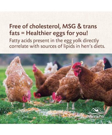 Buy Manna Pro Ultimate Scratch Chicken Feed - Nutrient Rich Treats, 10 LB - Buy Online on GoSupps.com