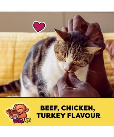 TEMPTATIONS Mix-Ups Cat Treats (Chicken Turkey & Beef Flavour) 454g Tub Cat Treats Chicken - Turkey - Beef 454 g (Pack of 1) - Buy Online on GoSupps.com