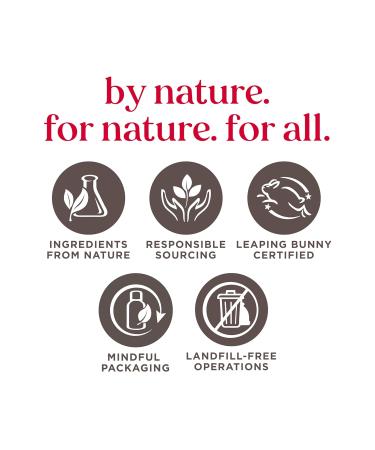 Burt's Bees Tinted Lip Balm Red Dahlia Blister 0.15oz - Buy Online on GoSupps.com