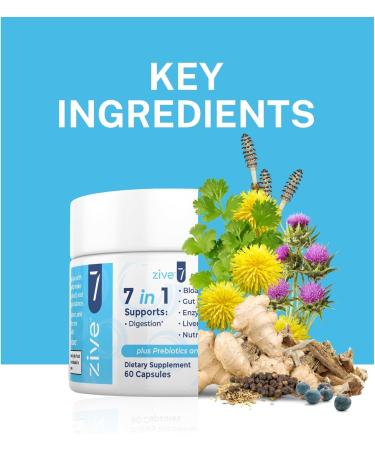 Zive 7 | Digestive Support Formula | 60 Capsules | Probiotic Fiber & Herb Blend | Supports Digestion Gut Health & Nutrient Absorption | Made in The USA - Buy Online on GoSupps.com