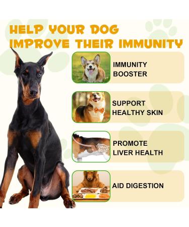 Allergy Relief Drops for Dogs Immune Support Supplement Dog Supplement Dog Allergy Relief with Vitamin C Vitamins Support Healthy Skin-60ml - Buy Online on GoSupps.com