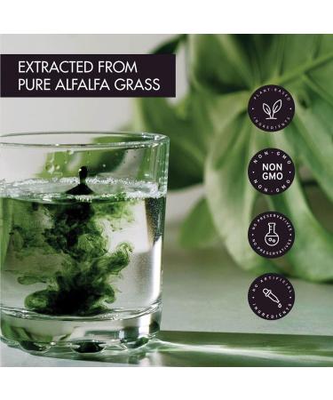 KIKI Health Liquid Chlorophyll 250ml - High Strength 100mg Extract - 100% Natural, Gluten Free, Vegan - Pack of 1 - Buy Online on GoSupps.com