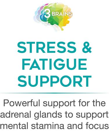 Natural Factors 3 Brains Serene Mind - 120 Vegetarian Capsules for Calming Support - Buy Online on GoSupps.com