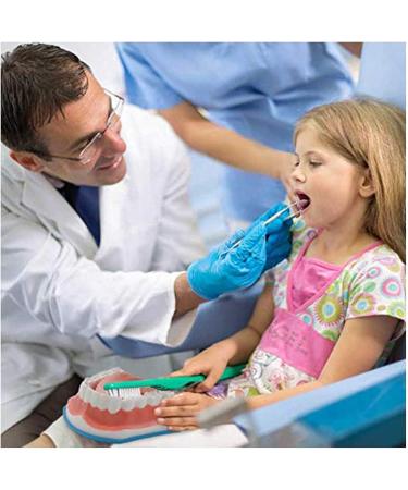 Large 6-Fold Dental Model for Kids - Ideal for Oral Care Lessons Tooth Brushing & Prosthesis Study - Buy Online on GoSupps.com