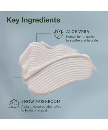 Botanics Lightweight & Hydrating Face Moisturizer for Women & Men - Gel Facial Moisturizer for Dry Skin - Enriched with Snow Mushroom & Aloe Vera - Vegan & Cruelty-Free 48-Hour Hydration (1.69 Fl Oz) - Buy Online on GoSupps.com