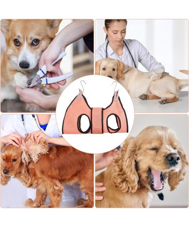 Hoaaigo Pet Care Hammock for Cats & Dogs - Breathable Loop Dishes & Nail Care Bag (M Pink) - Ultimate Pet Grooming Solution - Buy Online on GoSupps.com