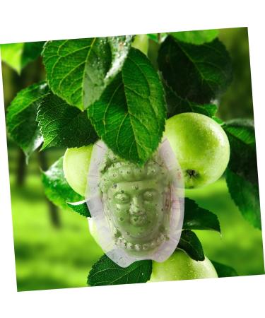 Balacoo Vegetable Growing Mold Garden Fruit Growing Mould Buddha Shaped Fruit Mold Acrylic Small - Buy Online on GoSupps.com
