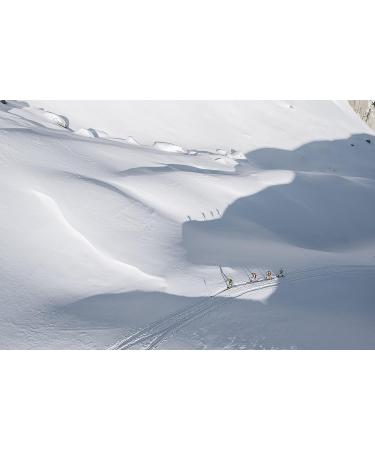 POMOCA Race Pro 2.0 Climbing Skin 155cm - Ideal for Backcountry Skiing and Randonee Racing - Buy Online on GoSupps.com