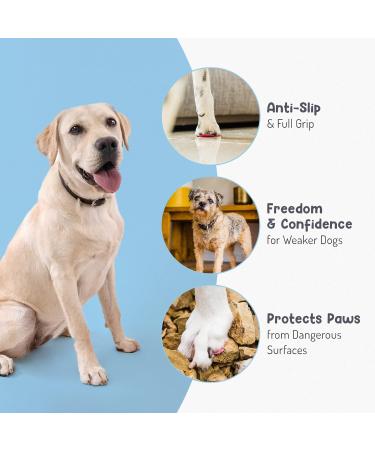 Dog Paw Grips - 24 Pack S - Indoor/Outdoor Paw Protectors for Slippery Floors - Self-Adhesive Traction Pads - Hypoallergenic Black - Buy Online on GoSupps.com