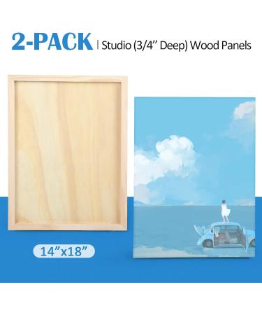 14x18 Wood Canvas Panels Kit - 2 Pack, Studio Cradle Boards for Pouring Art - Falling in Art - Buy Online on GoSupps.com