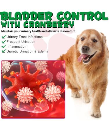 Urinary Support for Dogs - Natural Supplement for Kidney Stones Bladder Health & UTI Prevention - Promotes Urinary Function & Normal pH - 2.02fl oz - Buy Online on GoSupps.com