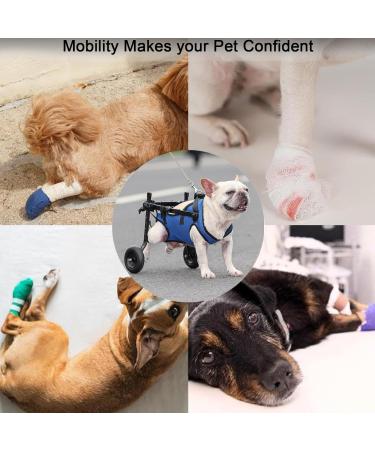 Dog Wheelchair for Back Legs Adjustable Dog Wheelchairs with 2 Wheels Pet Doggy Wheelchairs with Disabled Hind Legs for Hip Support Dog Wheelchair Cart for Small Pets Hind Limbs (M) - Buy Online on GoSupps.com