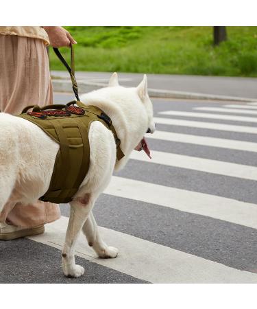 Oneigris 30cm Bolt Short Guide Dog Leash - Durable Reflective Nylon Tiger Tooth Metal Clip Soft Upholstery for Medium & Large Dogs - Brown - Buy Online on GoSupps.com