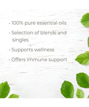 Shop Plant Therapy Wellness Essential Oil Gift Set - 6 Popular Blends for Immunity & Relaxation | International Shipping Available - Buy Online on GoSupps.com