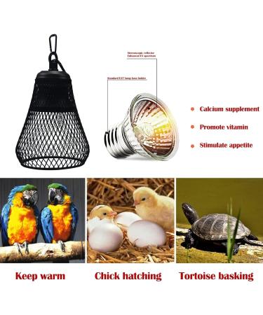 QIODAZOO 50W Turtle Heat Spot Lamp - Reptile Heat Lamp with Adjustable Time & Brightness E27 Hook - Buy Online on GoSupps.com