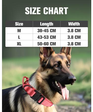 Joyal Tactical Dog Collar for Large Dogs | Bright Pink with Handle & QR Code | Luminous Dog Collar - Buy Online on GoSupps.com