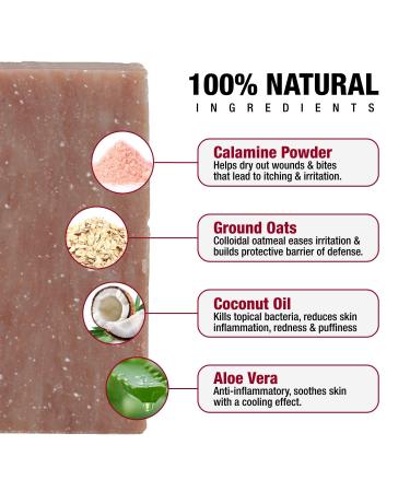CoreTex Anti-Itch Soap Bar | Handmade USA Natural Soap for Itchy Skin Relief | Eczema Poison Ivy Insect Bites & More - Buy Online on GoSupps.com