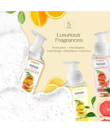 Moisturizing Foaming Hand Soap Pack - Aloe Vera & Essential Oils - Alcohol-Free Citrus Blend - Lemon, Orange, Lime, Pink Grapefruit - Kitchen/Bathroom Hand Wash - Set of 5 - Buy Online on GoSupps.com