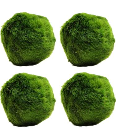k2aqua LARGE 4 Marimo Moss Balls Live Aquarium Plant Always Fresh Cladophora aegagropila Shrimps & Snails Love Them